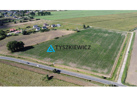 Działka na sprzedaż - Ogrodowa Rokitnica, Pruszcz Gdański, Gdański, 3134 m², 266 390 PLN, NET-TY319232