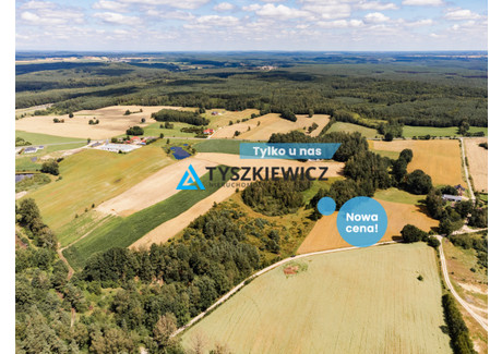 Działka na sprzedaż - Kaszubska Czarna Dąbrówka, Bytowski, 30 100 m², 335 000 PLN, NET-TY741923