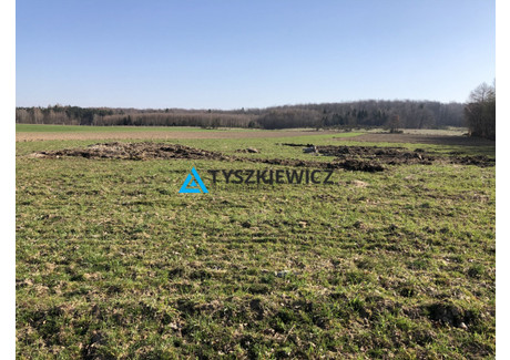 Działka na sprzedaż - Tępcz, Luzino, Wejherowski, 3000 m², 119 000 PLN, NET-TY486919