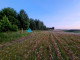 Rolny na sprzedaż - Piechowice, Dziemiany, Kościerski, 14 730 m², 499 000 PLN, NET-TY849288