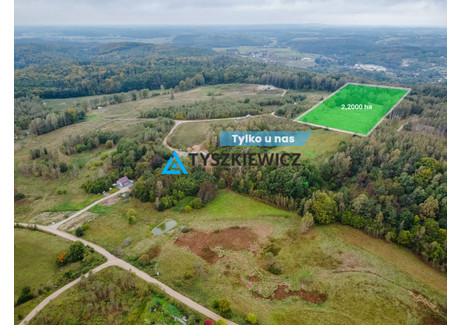 Działka na sprzedaż - Gawronia Przywidz, Gdański, 22 000 m², 1 430 000 PLN, NET-TY361261