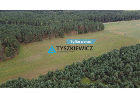 Działka na sprzedaż - Brzezinka, Czarna Dąbrówka, Bytowski, 35 700 m², 200 000 PLN, NET-TY939086