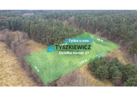 Działka na sprzedaż - Maciejki Gołębiewo Wielkie, Trąbki Wielkie, Gdański, 7500 m², 749 000 PLN, NET-TY173939