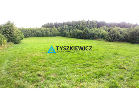 Działka na sprzedaż - Miechucińska Bielkówko, Kolbudy, Gdański, 7300 m², 730 000 PLN, NET-TY322713