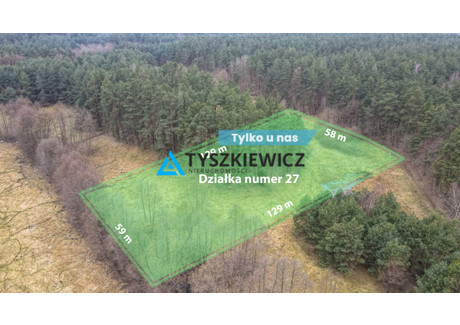 Działka na sprzedaż - Maciejki Gołębiewo Wielkie, Trąbki Wielkie, Gdański, 7500 m², 1 050 000 PLN, NET-TY476287