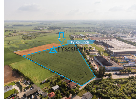 Działka na sprzedaż - Liściasta Chojnice, Chojnicki, 41 808 m², 4 200 000 PLN, NET-TY597571