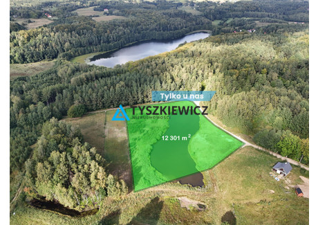 Działka na sprzedaż - Mierzeszyn, Trąbki Wielkie, Gdański, 12 301 m², 690 000 PLN, NET-TY258497