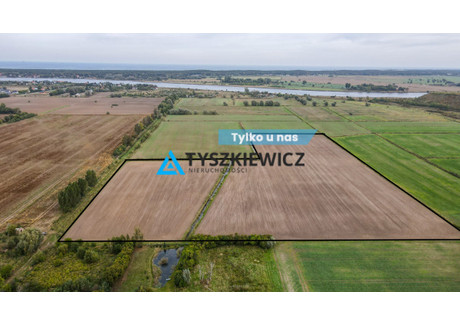 Działka na sprzedaż - Polna Wiślinka, Pruszcz Gdański, Gdański, 68 500 m², 9 247 500 PLN, NET-TY455938