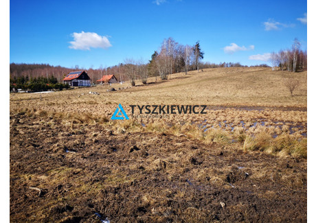 Działka na sprzedaż - Gromadzin, Przywidz, Gdański, 2907 m², 120 000 PLN, NET-TY815228