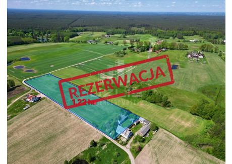 Dom na sprzedaż - Bartel Wielki, Kaliska, Starogardzki, 120 m², 299 000 PLN, NET-1924/9862/ODS