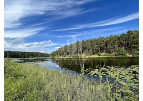 Działka na sprzedaż - Cieciorka, Kaliska, Starogardzki, 4539 m², 430 000 PLN, NET-1749/9862/OGS