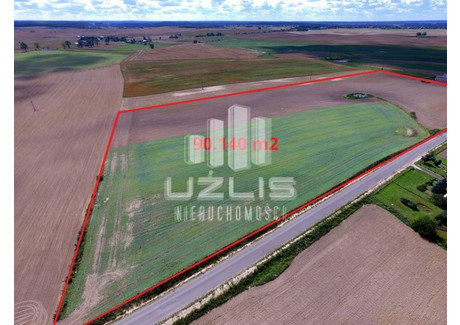 Działka na sprzedaż - Rukosin, Tczew, Tczewski, 90 140 m², 36 056 000 PLN, NET-1841/9862/OGS