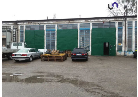 Magazyn do wynajęcia - Biskupice, Zabrze, Zabrze M., 600 m², 8900 PLN, NET-VTS-HW-6806