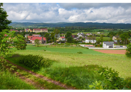 Działka na sprzedaż - Olszyny, Kamienna Góra, Kamiennogórski, 2900 m², 250 000 PLN, NET-304287