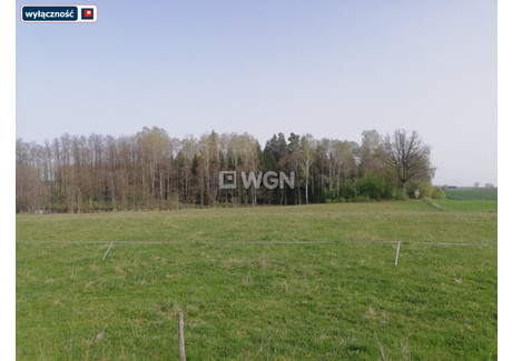 Działka na sprzedaż - Golubie, Kalinowo, Ełcki, 40 040 m², 400 400 PLN, NET-ELK-GS-5653