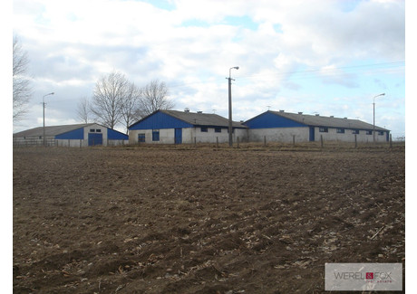 Przemysłowy na sprzedaż - Mońki, Mońki (Gm.), Moniecki (Pow.), 2660 m², 1 350 000 PLN, NET-167