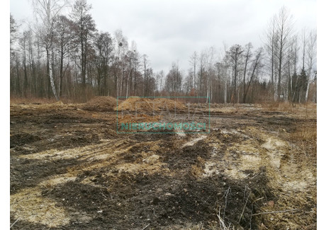 Działka na sprzedaż - Czarny Las, Grodzisk Mazowiecki, Grodziski, 10 000 m², 1 000 000 PLN, NET-848/6166/OGS