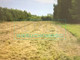 Rolny na sprzedaż - Ciepłe, Żabia Wola, Grodziski, 7400 m², 333 000 PLN, NET-4900/6166/OGS
