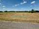 Rolny na sprzedaż - Radziejowice, Żyrardowski, 16 400 m², 656 000 PLN, NET-2248/6166/OGS