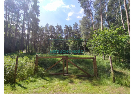 Działka na sprzedaż - Osowiec, Żabia Wola, Grodziski, 7663 m², 350 000 PLN, NET-4297/6166/OGS