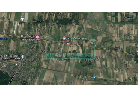 Działka na sprzedaż - Seroki-Wieś, Teresin, Sochaczewski, 40 499 m², 3 999 999 PLN, NET-3820/6166/OGS