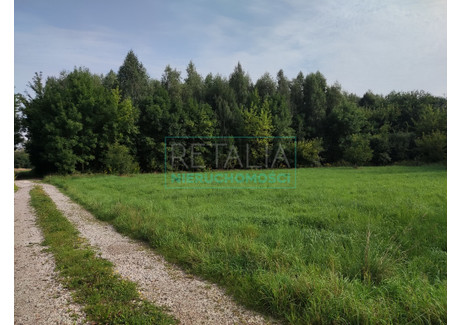 Działka na sprzedaż - Jaktorów, Grodziski, 3400 m², 680 000 PLN, NET-4456/6166/OGS