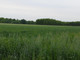 Rolny na sprzedaż - Byków, Długołęka, Wrocławski, 3000 m², 300 000 PLN, NET-1517