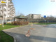 Mieszkanie do wynajęcia - Szczecin, 49,6 m², 3500 PLN, NET-1653/7376/OMW