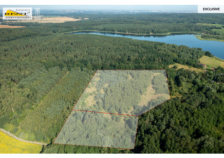 Działka na sprzedaż - Binowo, Stare Czarnowo, Gryfiński, 42 950 m², 1 030 800 PLN, NET-3664/7376/OGS