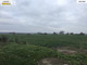 Rolny na sprzedaż - Karwowo, Kołbaskowo, Policki, 2800 m², 166 000 PLN, NET-3525/7376/OGS