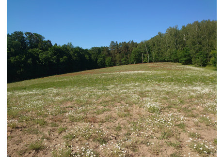 Działka na sprzedaż - Recz, Choszczeński, 35 415 m², 134 577 PLN, NET-INB20508