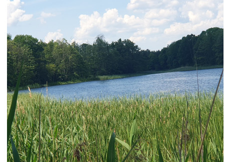 Działka na sprzedaż - Zieleniewo, Bierzwnik, Choszczeński, 3030 m², 47 000 PLN, NET-INB20563