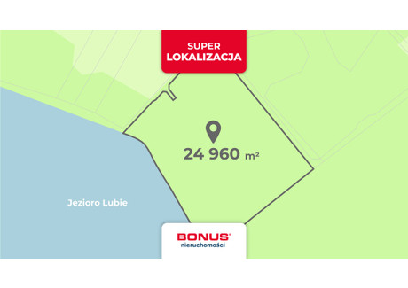 Działka na sprzedaż - Lubieszewo, Złocieniec, Drawski, 24 960 m², 4 400 000 PLN, NET-BON43506