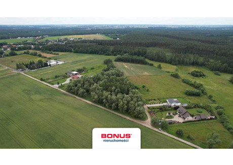 Działka na sprzedaż - Dąbrówka Leśna, Oborniki, Obornicki, 12 000 m², 395 000 PLN, NET-BON45651