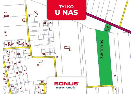 Działka na sprzedaż - Jeziora, Pniewy, Grójecki, 50 100 m², 2 004 000 PLN, NET-BON41558