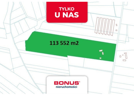 Działka na sprzedaż - Uziębły, Paprotnia, Siedlecki, 113 552 m², 550 000 PLN, NET-BON46178