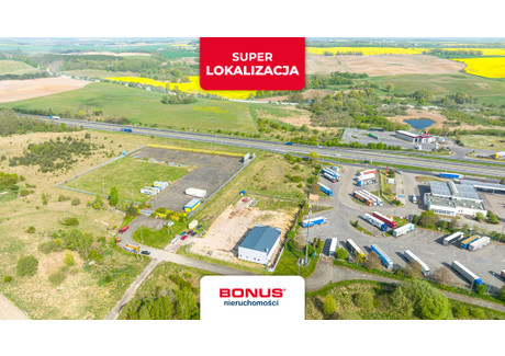 Lokal na sprzedaż - Barnisław, Kołbaskowo, Policki, 375 m², 1 990 000 PLN, NET-BON40249