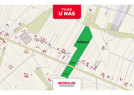 Działka na sprzedaż - Witalówka, Pniewy, Grójecki, 102 888 m², 8 231 040 PLN, NET-BON42619