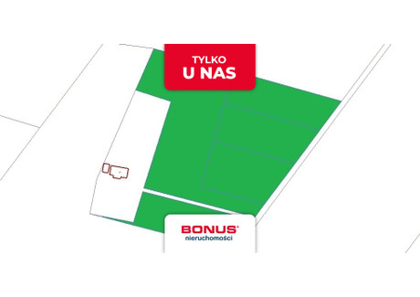 Działka na sprzedaż - Kornelówka, Pniewy, Grójecki, 25 265 m², 1 499 000 PLN, NET-BON46176