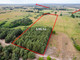 Rolny na sprzedaż - Żarnówko, Stepnica, Goleniowski, 39 626 m², 350 000 PLN, NET-SWN30992