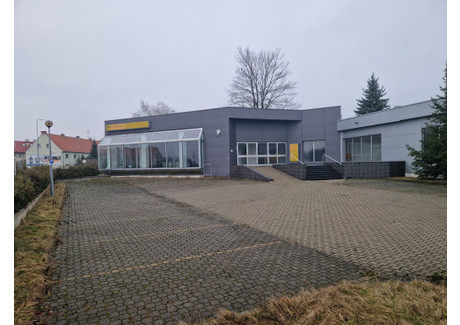 Magazyn na sprzedaż - Elbląg, warmińsko-mazurskie, 3297 m², 2 066 200 PLN, NET-gratka-38538025