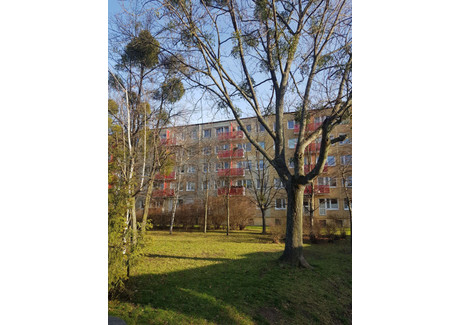 Mieszkanie na sprzedaż - os. Pod Lipami Winogrady, Poznań, wielkopolskie, 47,6 m², 490 700 PLN, NET-gratka-33441347
