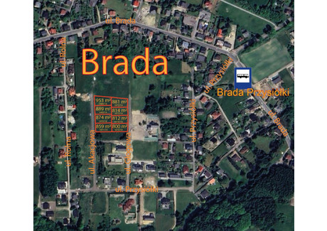 Działka na sprzedaż - Akacjowa Brada, Łaziska Górne, Łaziska Górne, mikołowski, śląskie, 800 m², 237 600 PLN, NET-gratka-31296139