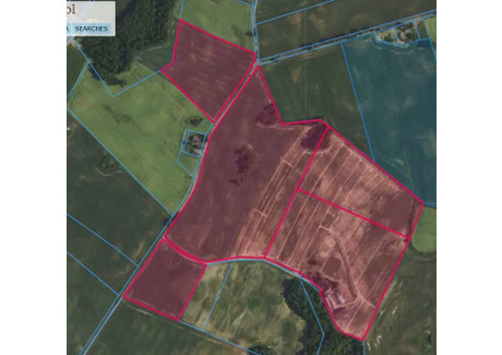 Działka na sprzedaż - Tonin, Sośno, sępoleński, kujawsko-pomorskie, 250 000 m², 2 750 000 PLN, NET-gratka-38299829