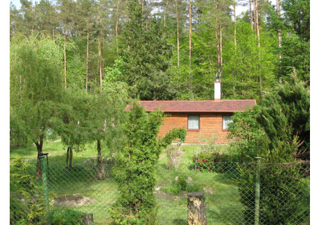 Działka na sprzedaż - Podjazy, Sulęczyno, kartuski, pomorskie, 630 m², 185 000 PLN, NET-gratka-36343523