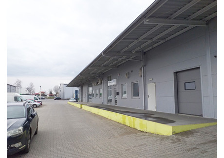 Magazyn do wynajęcia - Ujrzanów, Siedlce, Siedlce, mazowieckie, 3000 m², 75 000 PLN, NET-gratka-39009155