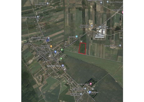 Działka na sprzedaż - Łebcz, Puck, pucki, pomorskie, 31 484 m², 5 500 000 PLN, NET-gratka-34288791