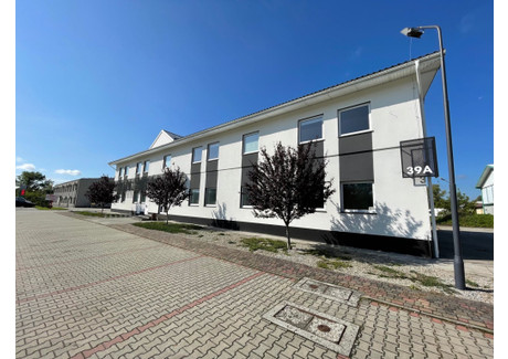 Biuro do wynajęcia - Przemysłowa Tarnów, małopolskie, 10 m², 480 PLN, NET-gratka-22803973
