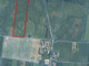 Działka na sprzedaż - Brzeźno, Dorohusk, chełmski, lubelskie, 78 192 m², 246 000 PLN, NET-gratka-34737963