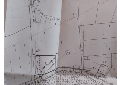 Działka na sprzedaż - Tryszczyn, Koronowo, bydgoski, kujawsko-pomorskie, 111 349 m², 900 000 PLN, NET-gratka-38177749